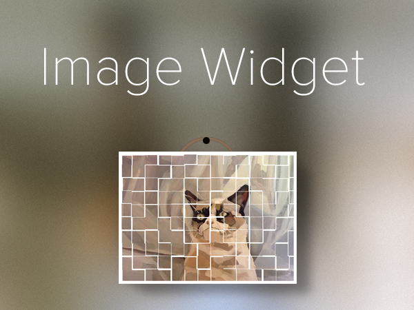 Image Widget