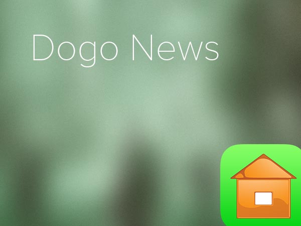 Dogo News