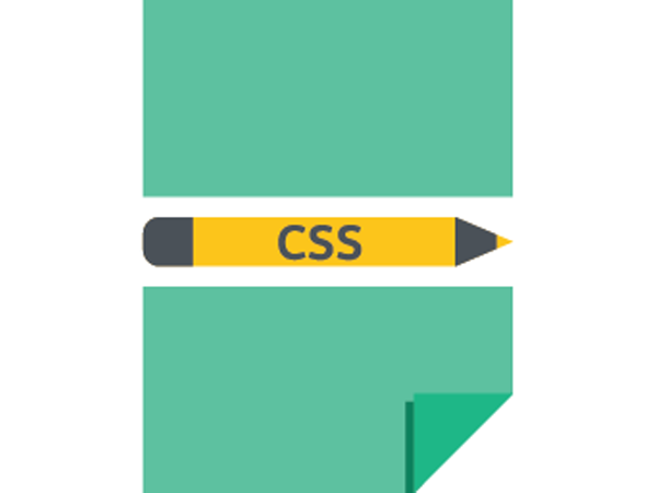 Custom CSS Custom CSS icon