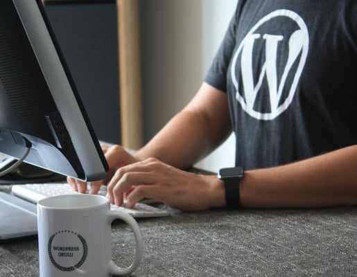 Person working at a computer with WordPress logo on t-shirt